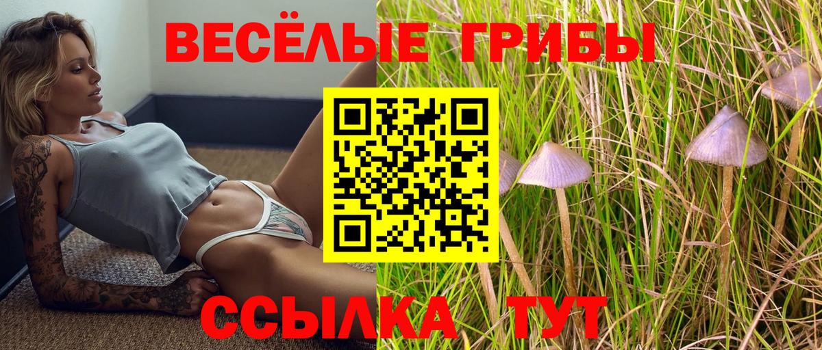 Норильск  Галлюциногенные грибы MAGIC MUSHROOMS  купить закладку  Вход с VPN  Галлюциногенные грибы прущие грибы 
